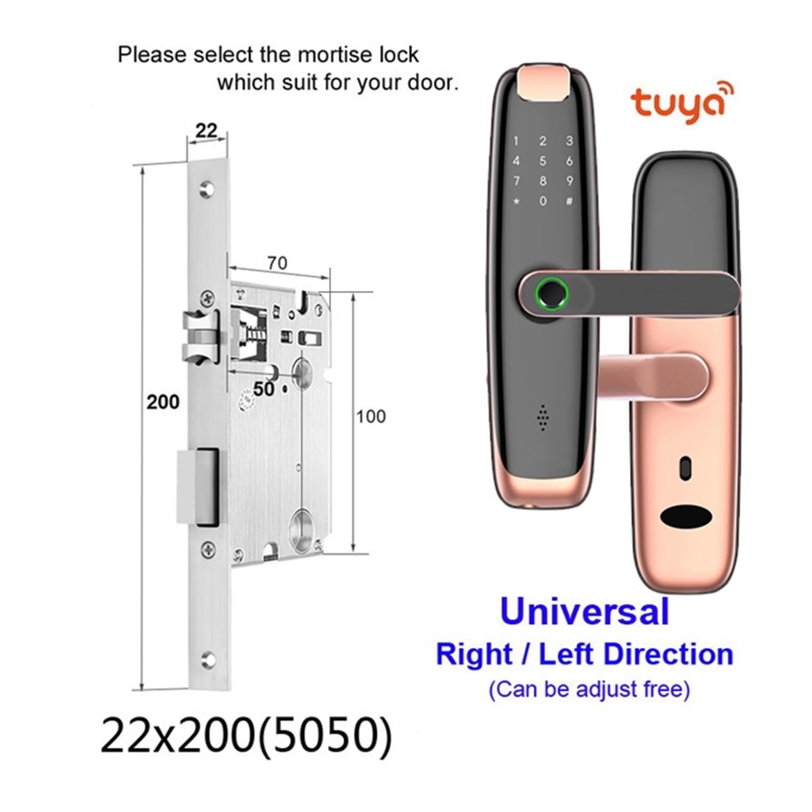 Wi-Fi Smart Fingerprint Door Lock with App, Keypad & RFID Access
