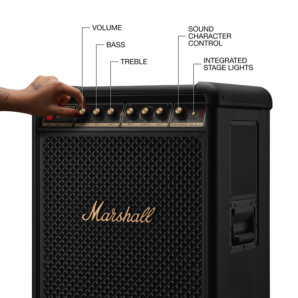 Portable Wireless Party Speaker with Bass Controls, LED Lights & Multi-Input Connectivity