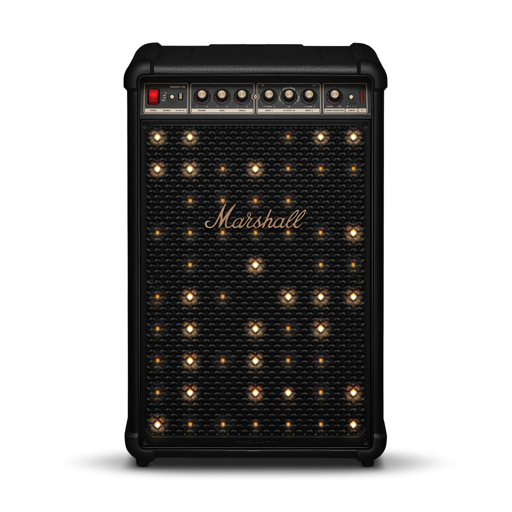 Portable Wireless Party Speaker with Bass Controls, LED Lights & Multi-Input Connectivity